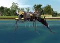 Mosquitol