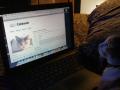 User 2 catbook