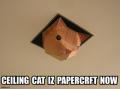 User 2 ceilingcat papercraft2