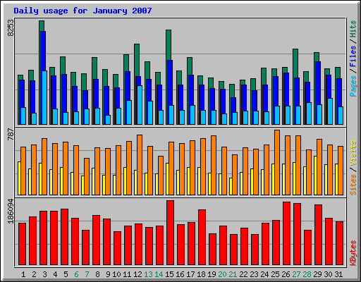 Daily usage for January 2007