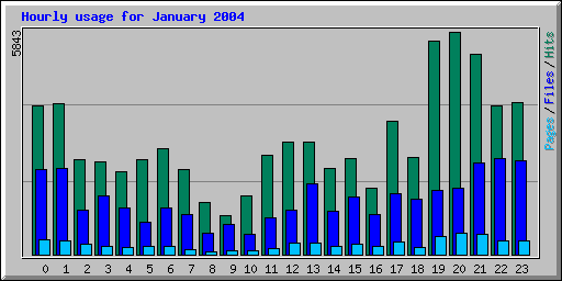 Hourly usage for January 2004