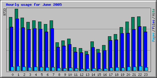 Hourly usage for June 2005