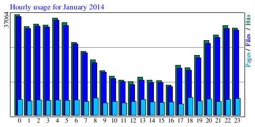 Hourly usage for January 2014